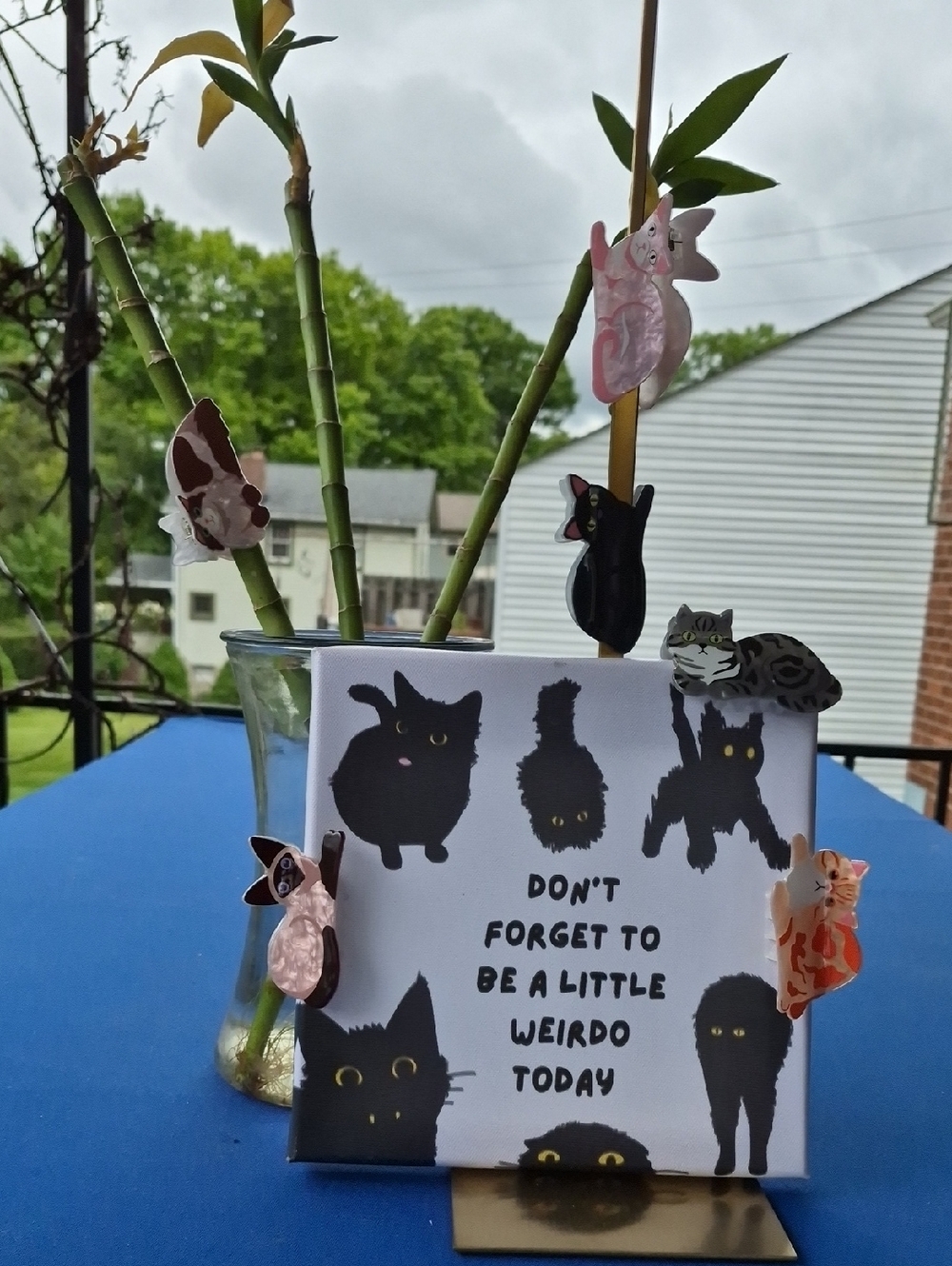 😺🐈‍⬛ KITTY CAT claw-clips for Hair 🐈‍⬛😺 Choose Your Breed! Colorful Acrylic